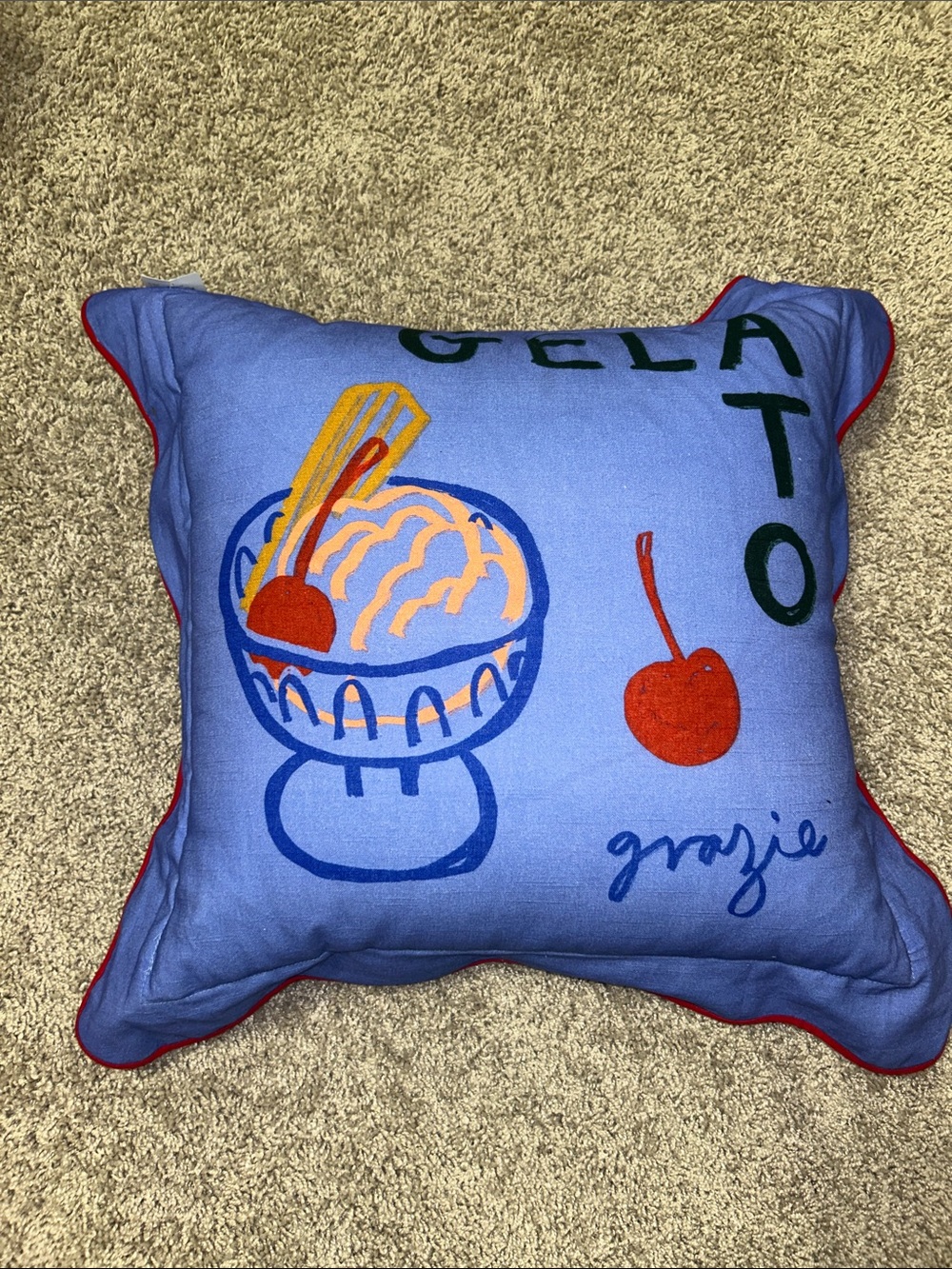 NWT Anthropologie Jordan Nickson Cotton Printed Gelato Text Pillow - Picture 5 of 6